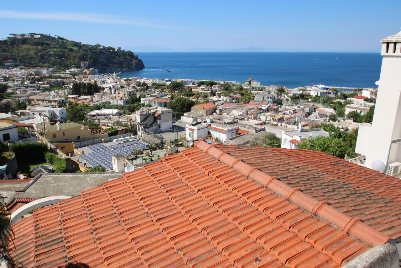 Lacco Terrace Solarium Lacco Ameno  Exteriér fotografie