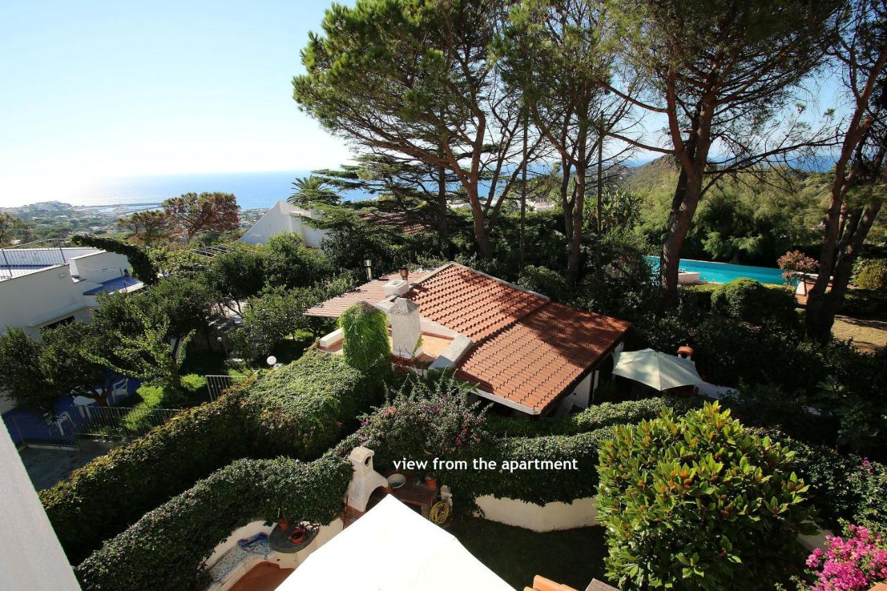 Lacco Terrace Solarium Lacco Ameno  Exteriér fotografie